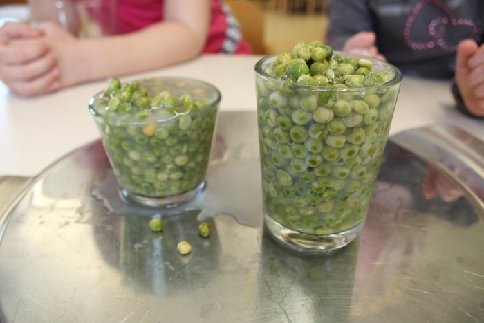 03IMG_9012_1200x800.jpg Kirchererbsen quellen im Glas