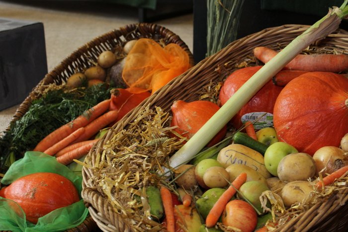 05IMG_7842_1200x800.jpg Erntekorb mit Früchten