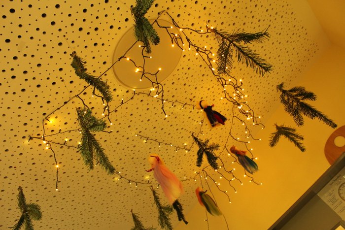 17IMG_6740_1200x800.jpg mit Lichterkette und Tannenzweigen gestaltete Raumdecke