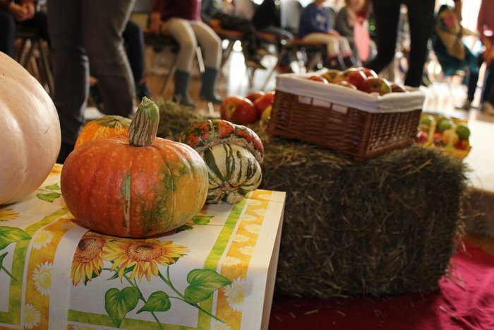 02IMG_5579_1200x800.jpg Erntedankfest